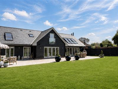 Picture 6